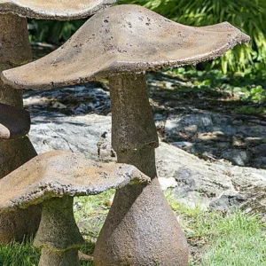 CHAMPIGNON DE JARDIN 27"
